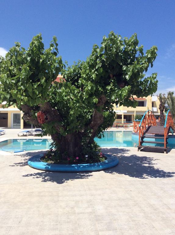 Angelos Beach Hotel ファリラキ エクステリア 写真